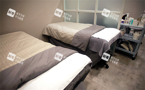 德嘉整形外科治疗区域.png
