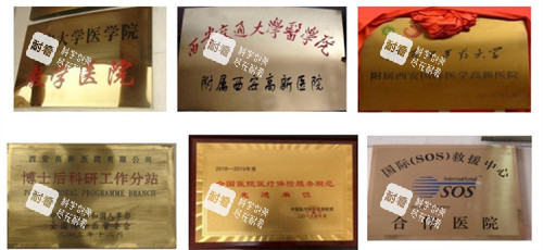 西安高新医院眼科荣誉.jpg