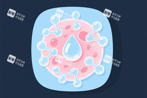 皮肤内部水分子.png 皮肤内部水分子.png