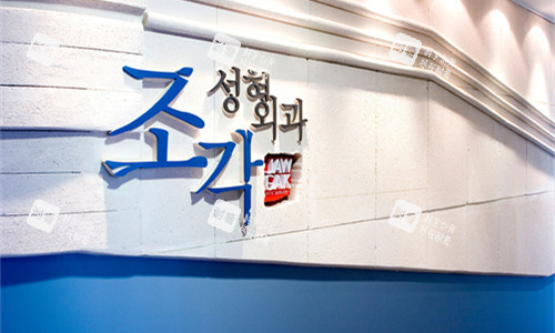韩国雕刻整形医院logo图.jpg 韩国雕刻整形医院logo图.jpg