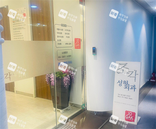 韩国雕刻整形门口环境.jpg 韩国雕刻整形门口环境.jpg
