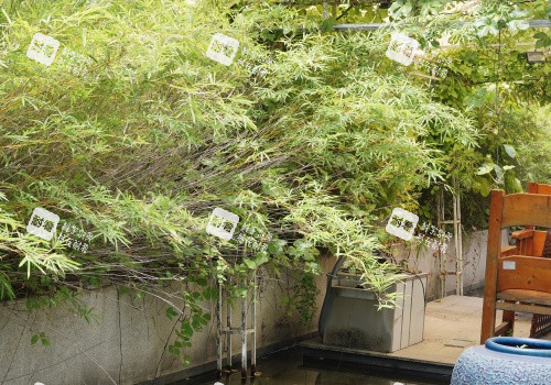 深圳南雅整形医院室外环境.JPG 深圳南雅整形医院室外环境.JPG