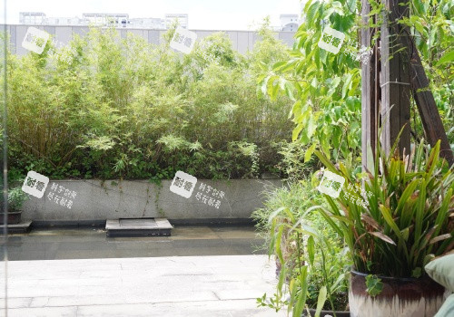 深圳南雅整形医院外部环境.JPG