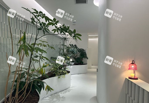 薛志强在北京俊泰美好医疗美容门诊做鼻部口碑到底怎么样？亲历者说