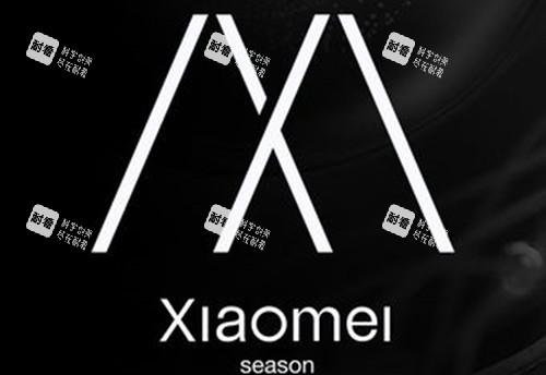 北京小美微针医疗美容LOGO示意图.jpg