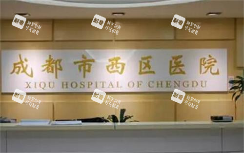 成都西区医院前台区.png 成都西区医院前台区.png