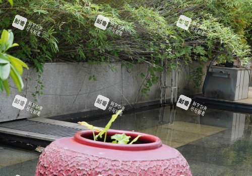 深圳南雅整形医院环境一角.JPG 深圳南雅整形医院环境一角.JPG