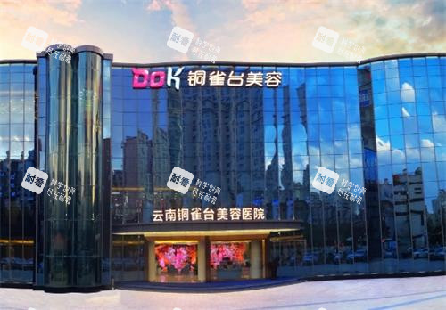 云南铜雀台整形大门口图.png