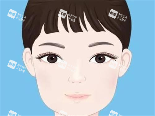 纹眼线示意图.png