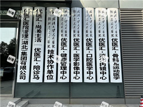 武汉优医汇综合医院资质牌.jpg