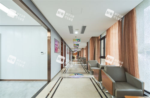 上海诺诗雅医院走廊展示图.jpg 上海诺诗雅医院走廊展示图.jpg