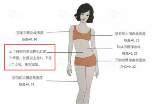 肚脐整形美学理念.jpg