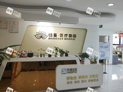 郑州枝蔓医疗美容大厅.jpg