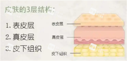 皮肤护理知识.jpg 皮肤护理知识.jpg