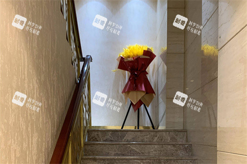 北京麦西美嘉医疗美容楼梯间.jpg